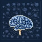 Sabías que el cerebro humano consume el 20% de la energía del cuerpo.