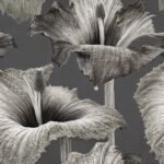 Sabías que al parecer, la flor cadáver es una de las más grandes y malolientes del mundo.